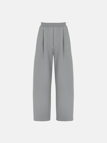ENRAGE Loosefit Bundfaltenhose 'ENRAGE' in Grau
