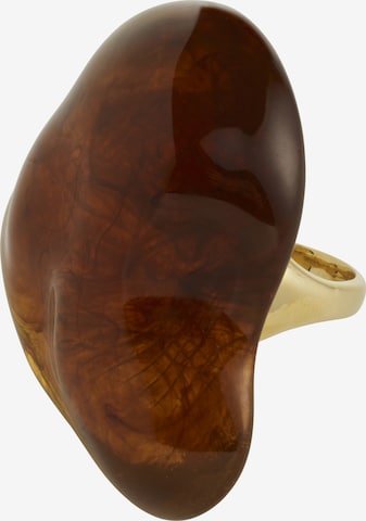 ruda Pilgrim Žiedas 'Lian': priekis