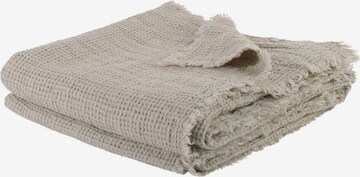 ZOEPPRITZ Blankets 'Honeybee' in Beige: front