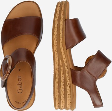 Sandales GABOR en marron