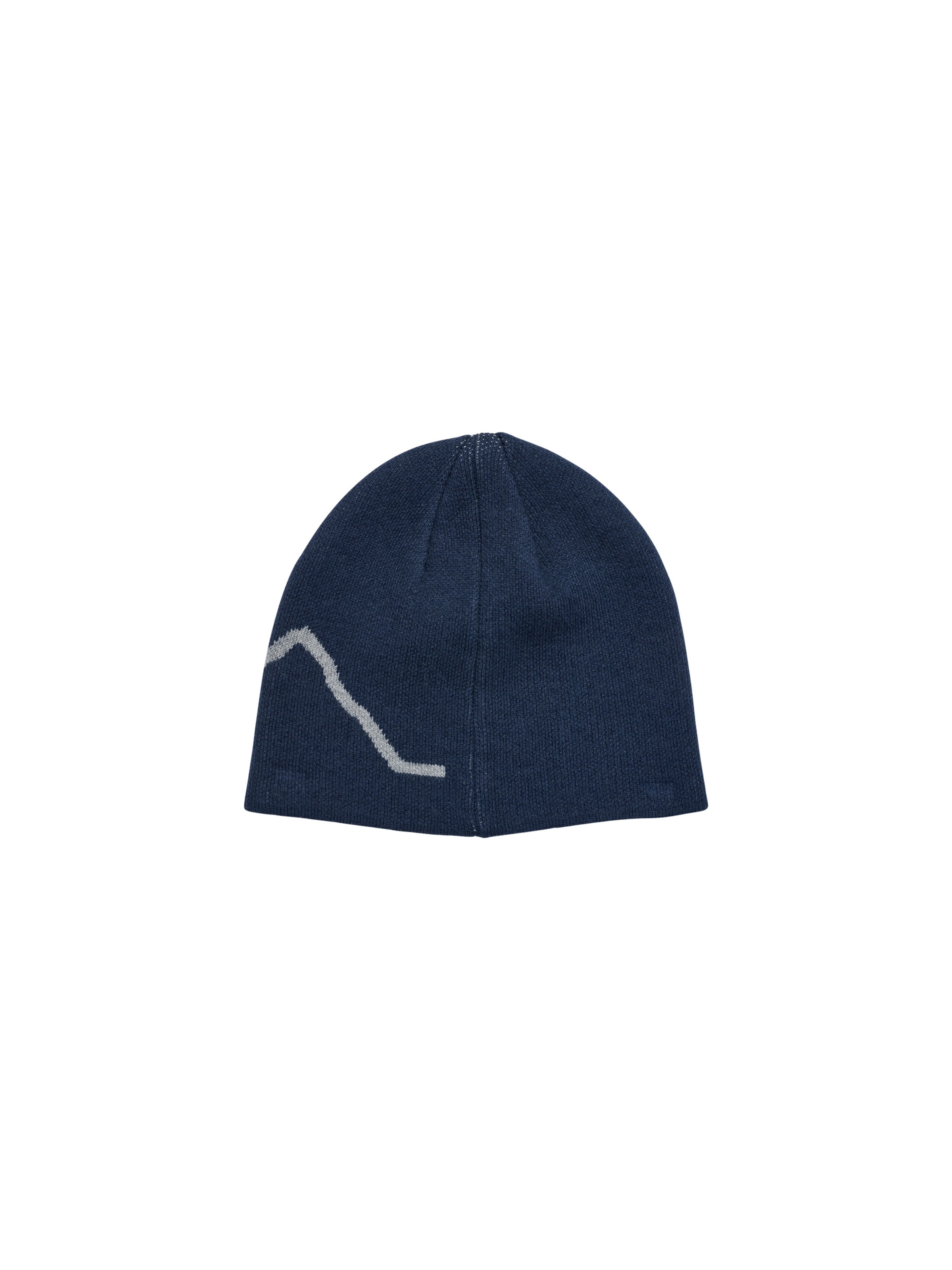 HALO Beanie in Blue
