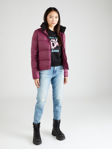 purpurinė Calvin Klein Jeans Žieminė striukė 'Archetype'