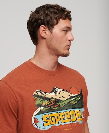 Superdry T-Shirt 'Travel Postcard' in Orange