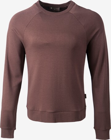 Athlecia Pullover in Braun: predná strana