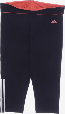 ADIDAS PERFORMANCE Shorts in 34 in Black: front