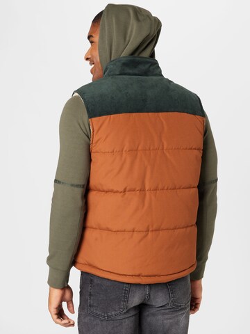 Iriedaily Bodywarmer in Bruin