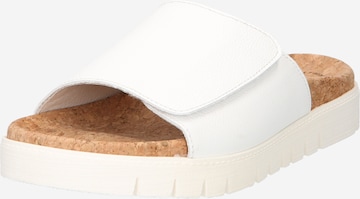 GABOR Mules 'Cervo' in White: front