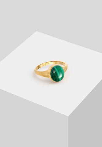 ELLI PREMIUM Ring in Goud
