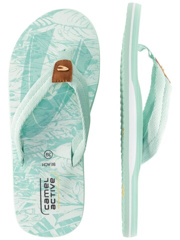 CAMEL ACTIVE T-Bar Sandals in Green