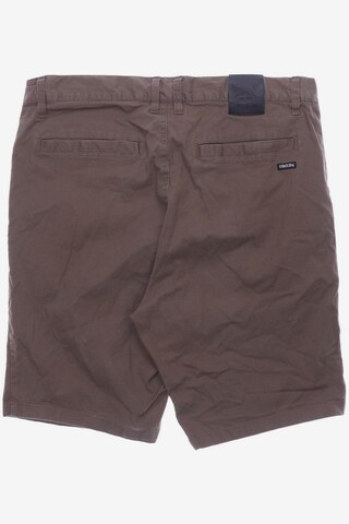 Iriedaily Shorts in 29-30 in Brown