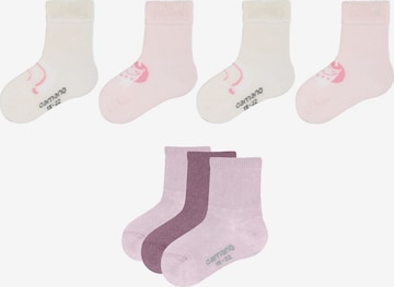 camano Socken in Lila: Vorderseite