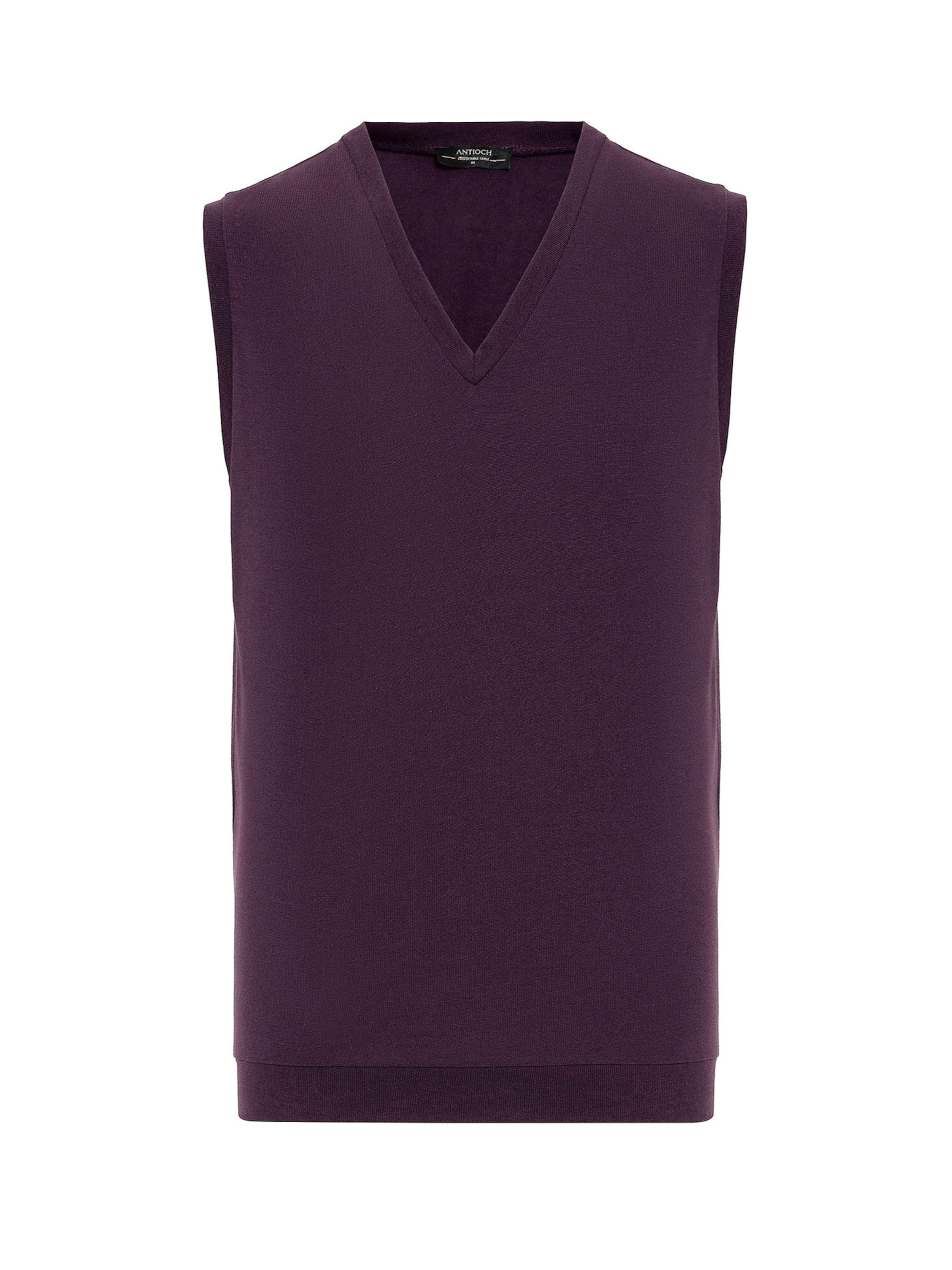 Gilet di Antioch in lilla: frontale