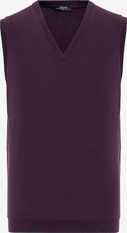 Antioch Vest in Purple: front