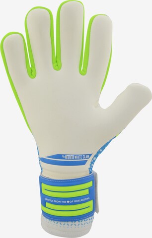 KEEPERsport Athletic Gloves in Blue