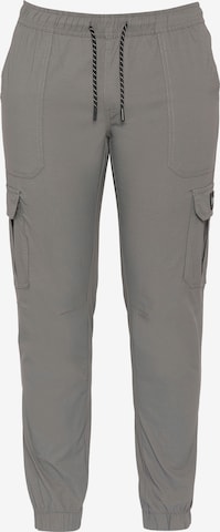 Schott NYC Regular Hose in Grau: Vorderseite
