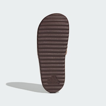 Mule 'Adilette' ADIDAS PERFORMANCE en marron