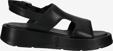 ILC Strap Sandals in Black