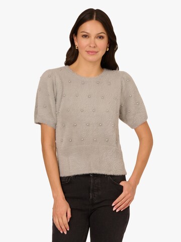 Adrianna Papell Pullover in Grau: Vorderseite