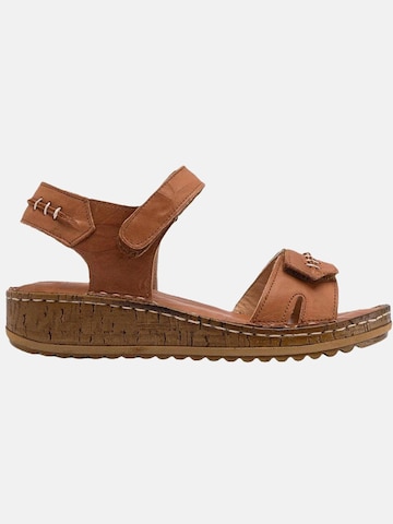 Limoya Sandals 'Damensandalen' in Brown