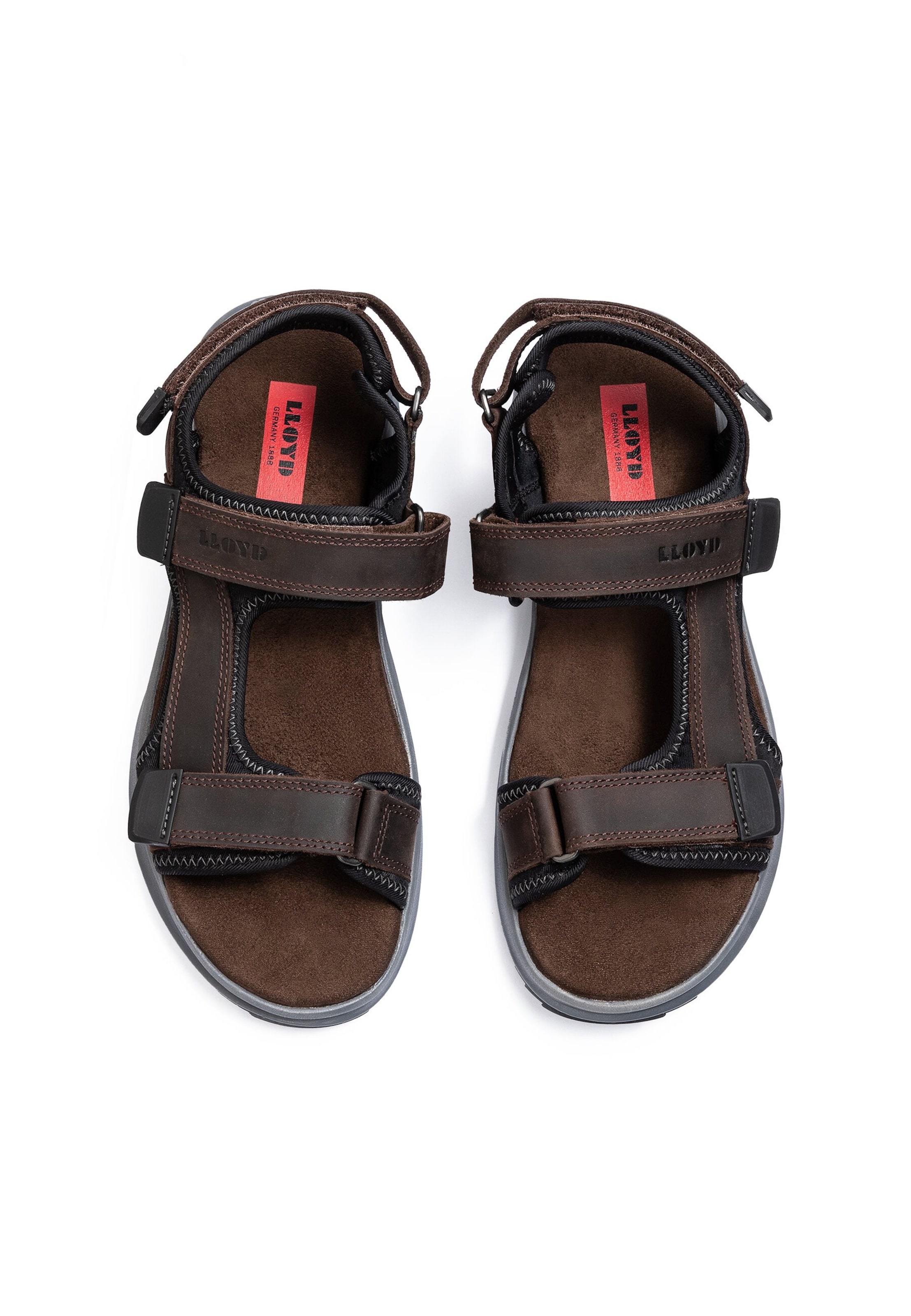 Sandales 'ECHO' LLOYD en marron