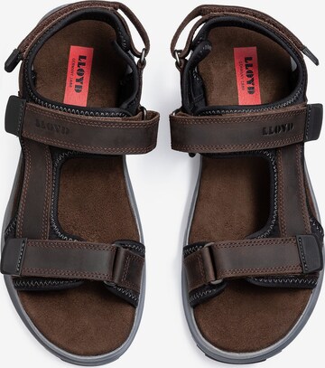 LLOYD Sandals 'ECHO' in Brown