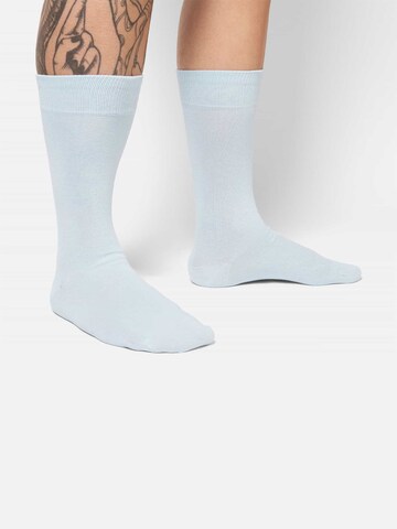 DillySocks Socks in Blue: front