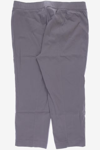 SAMOON Pants in XXXL in Grey