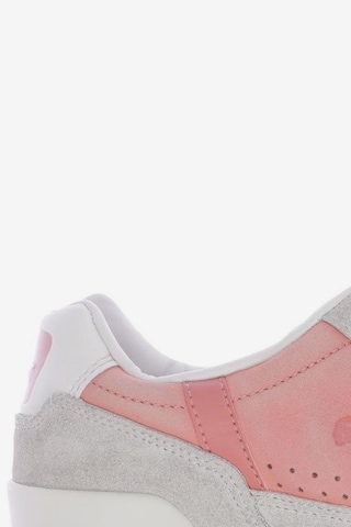 LACOSTE Sneakers & Trainers in 40 in Pink