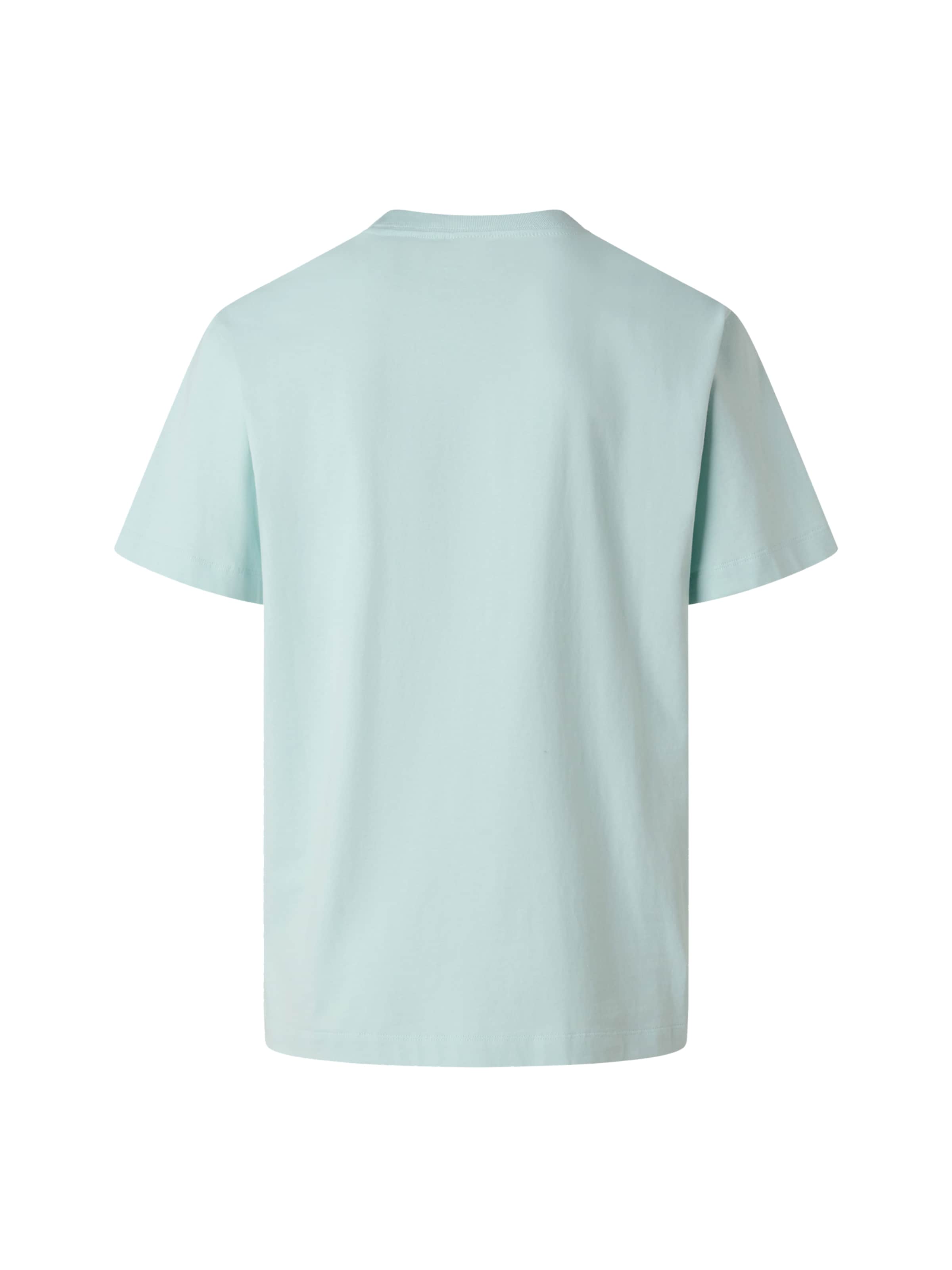 THE NORTH FACE Bluser & t-shirts 'Essential' i blå