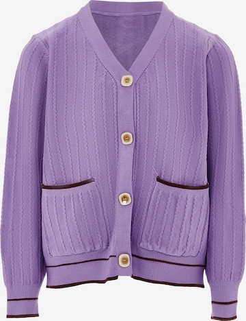 NALLY Knit Cardigan in Purple: front