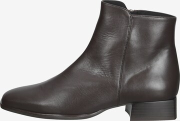 PETER KAISER Ankle Boots in Braun