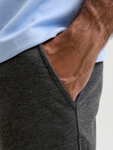 JACK & JONES Regular Chino in Grijs