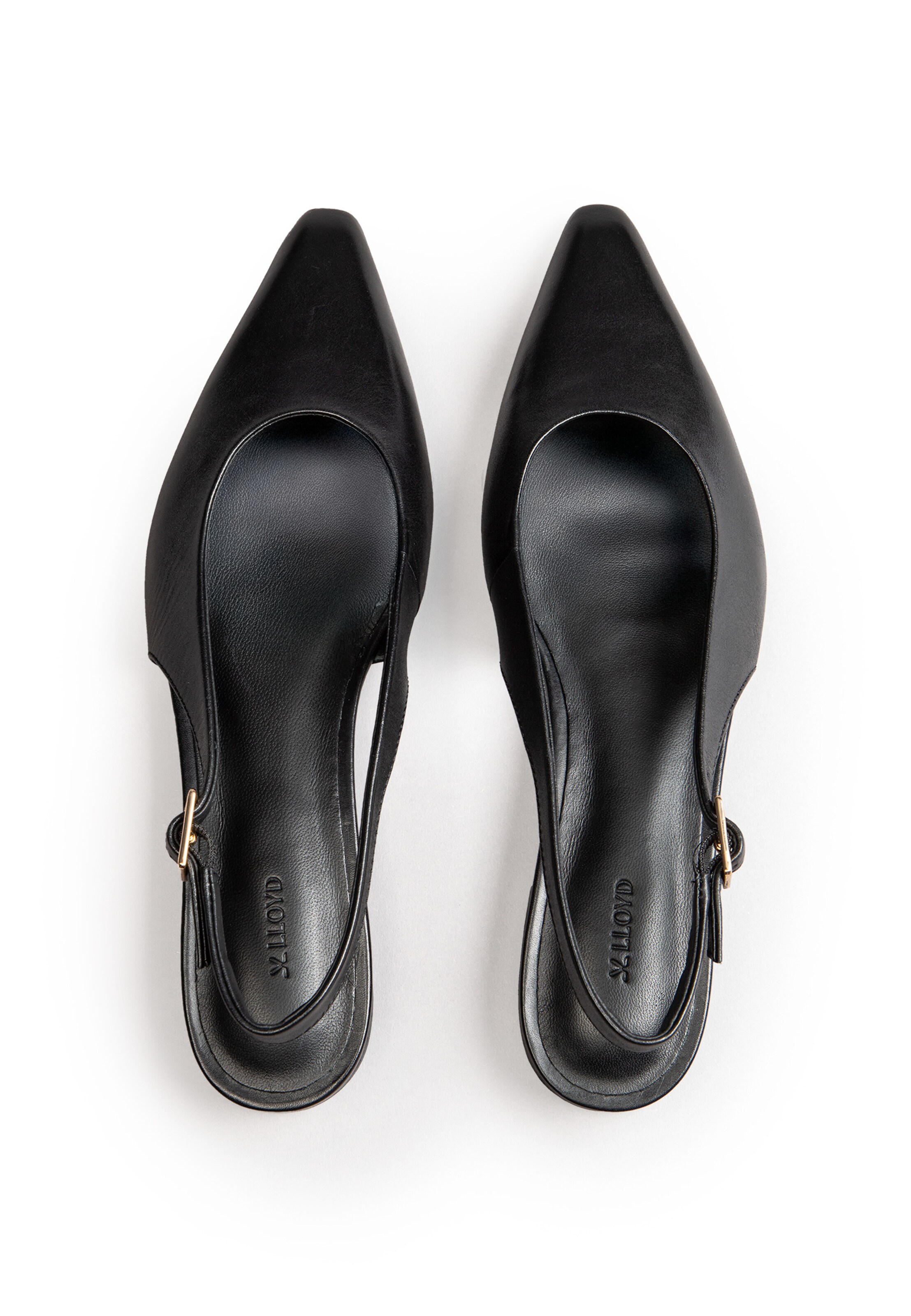 LLOYD Ballerina met riempjes 'Noor I' in Zwart