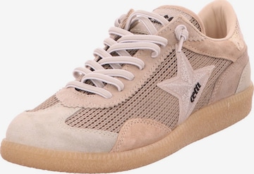 Cetti Sneaker low 'Sneaker Damen C1385 SRA wasabi Rauleder in grün' in Beige: Vorderseite