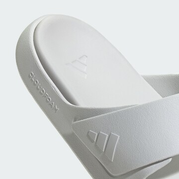ADIDAS SPORTSWEAR Mule 'Znscape' in White