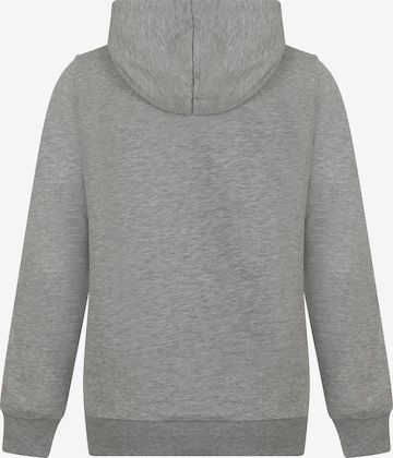 DENIM CULTURE Sweatshirt 'Zenaida' in Grau
