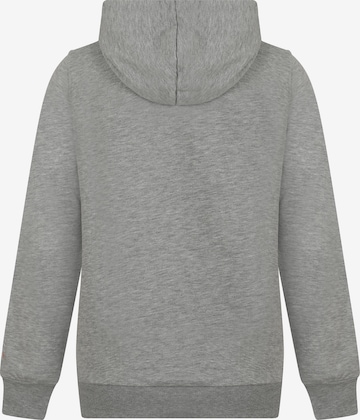 DENIM CULTURE - Sudadera 'Zenaida' en gris