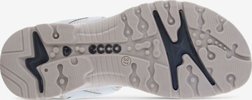 ECCO Strap Sandals in White