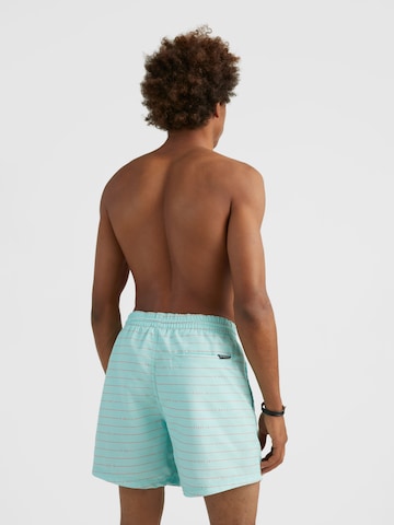 O'NEILL Badeshorts in Blau