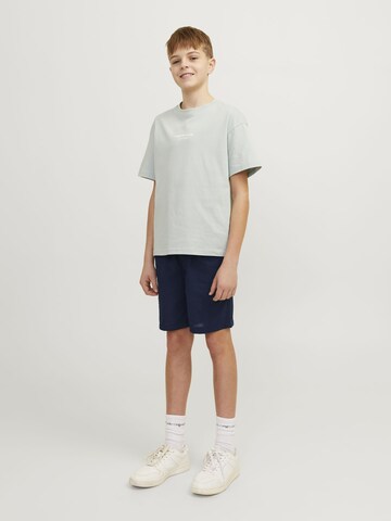 Jack & Jones Junior Regular Broek in Blauw