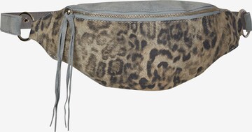 Curuba Fanny Pack 'Flagstaff' in Brown