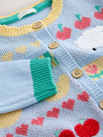 Next Gebreid vest in Blauw