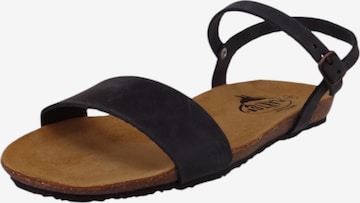 Sandales à lanières Plakton en bleu : devant