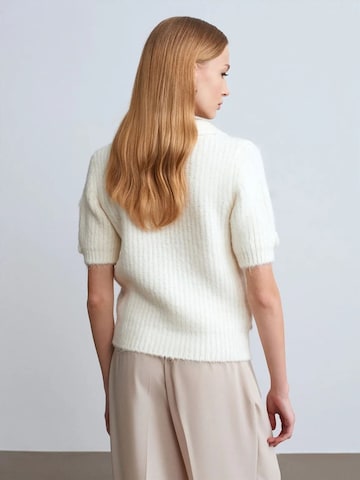 Dilvin Pullover 'Pullover'‌‌‌‌ in Beige