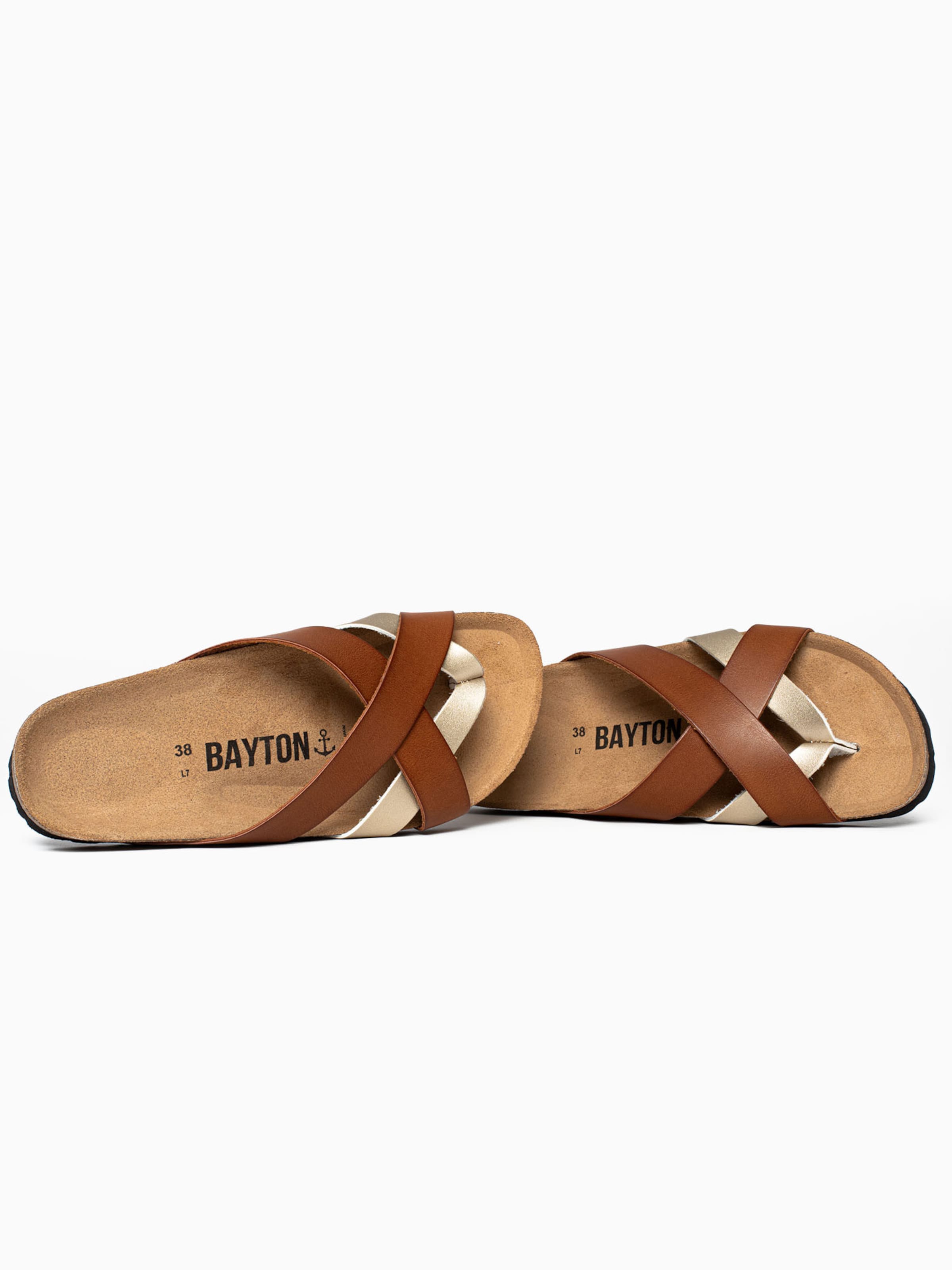 Bayton Mule 'Alava' in Brown
