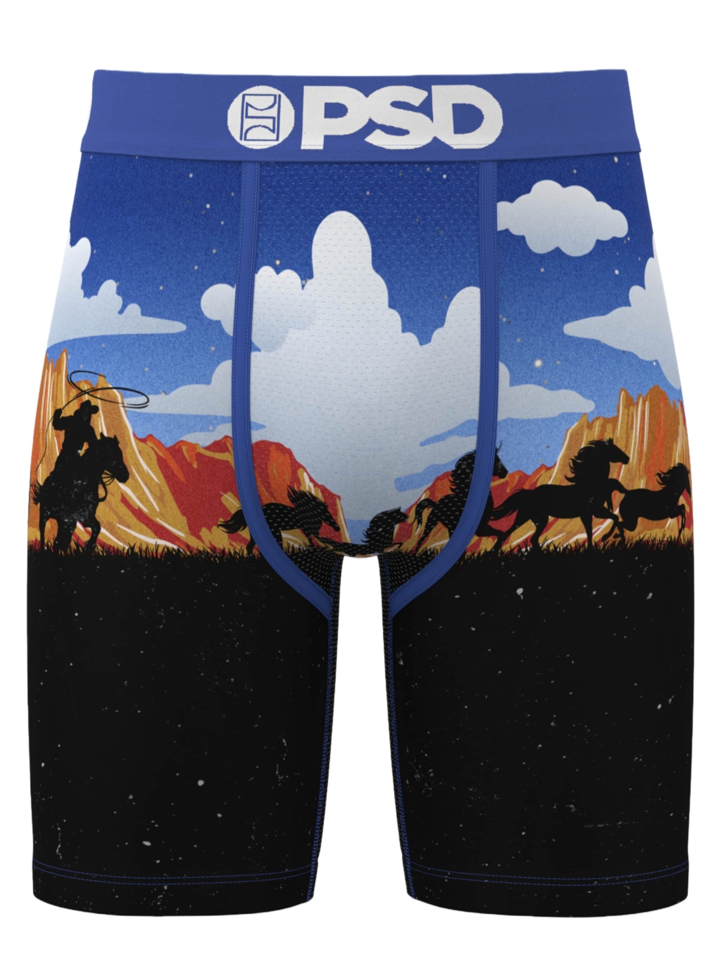 PSD Boxers 'ACE HIGH' en mélange de couleurs, Vue avec produit