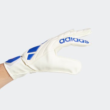 ADIDAS PERFORMANCE Athletic Gloves 'Copa Club' in White