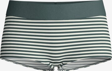 CALIDA Boyshorts 'Elastic' in Grey: front