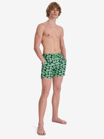 Shorts de bain 'STRIPE' WESTMARK LONDON en vert
