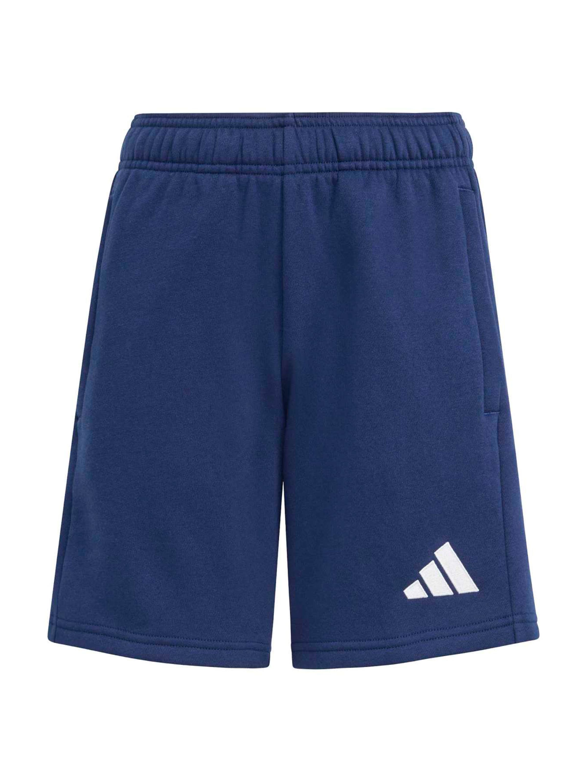 ADIDAS PERFORMANCE regular Παντελόνι φόρμας 'ENT26' σε μπλε: μπροστά